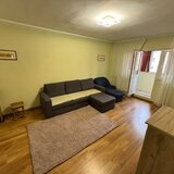 Teiul Doamnei, stradal